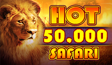 Hot Safari